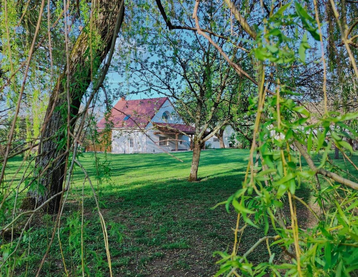 Domaine Saint Loup - 10Min Beaune Extérieur photo